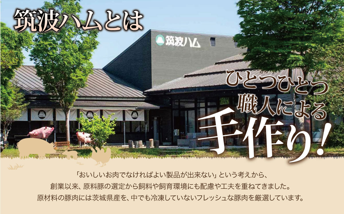 【筑波ハム】炭火で仕上げる 辛い つくばチョリソー ( 100g × 4パック ) ＜離島・沖縄配送不可＞【 豚肉 豚 ぶた肉 ソーセージ ピリ辛 パック 茨城県 つくば市 酒のつまみ 】