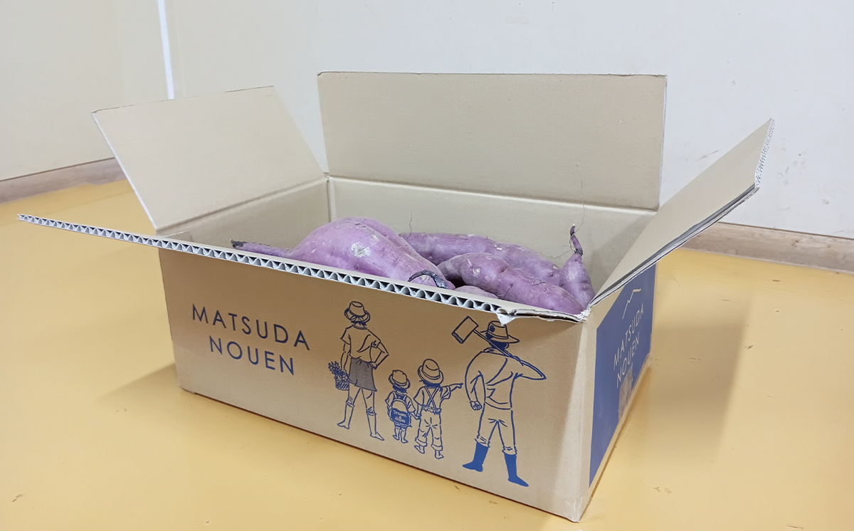  茨城県産 熟成さつまいも ( 紅はるか ) SS〜3Lサイズ訳アリ4.5kg ( 箱入り )【 紅はるか さつまいも サツマイモ おやつ スイーツ 甘味 デザート 訳アリ 訳あり 8000円 茨城県 つくば市 】