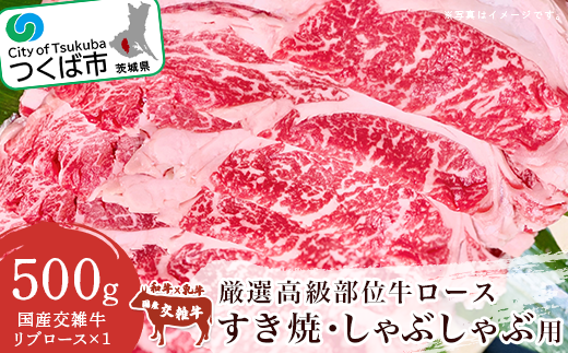 厳選高級部位牛ロース ( すき焼き ・ しゃぶしゃぶ用 ) 500g【 牛肉 牛 国産 リブロース すきやき スキヤキ 茨城県 つくば市 】