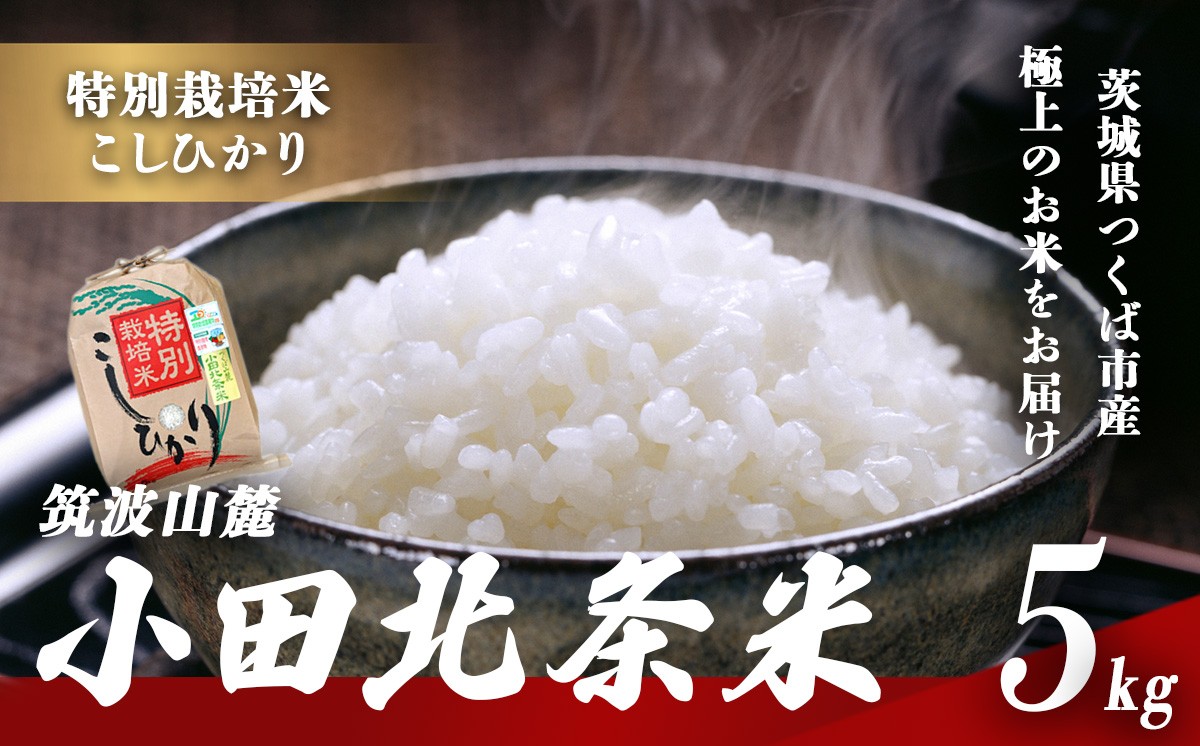 令和7年産 特別栽培米 コシヒカリ 小田北条米 5kg