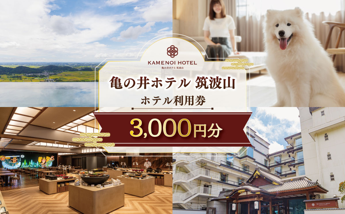 亀の井ホテル 筑波山 ホテル利用券 3,000円 | 宿泊 宿泊券 旅行 旅行券 チケット 宿 ホテル 旅館 温泉 天然温泉 露天風呂 子ども 子供 家族 ファミリー ペット 茨城県 つくば市