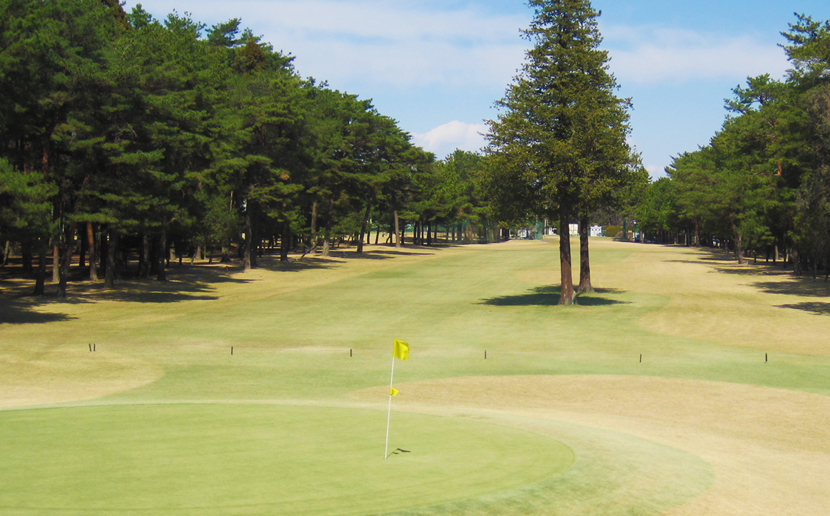 åçæ³¢ãŽã«ãå Ž å©çšåž 3,000åå ã èšåç ã€ãã°åž ãŽã«ã ãŽã«ãå Ž ãŽã«ããã±ãã ãŽã«ãå Žãã±ãã ãŽã«ãå Žãã¬ãŒ ãã±ãã ãã¬ãŒ ãã¬ãŒãã±ãã ãã¬ãŒåž å©çšåž ãŽã«ãå©çšåž ãŽã«ãå Žå©çšåž 颿± ã