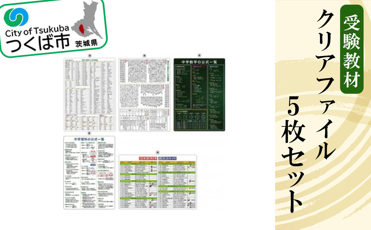受験教材クリアファイル 5枚セット │ クリアファイル 文房具 教材 ツール 高校受験 暗記 記憶 視覚 勉強 学習 受験 テスト 試験 隙間時間 中学生 理科 国語 数学 歴史 英語 5教科 セット フライング・エッグ 茨城県 つくば市