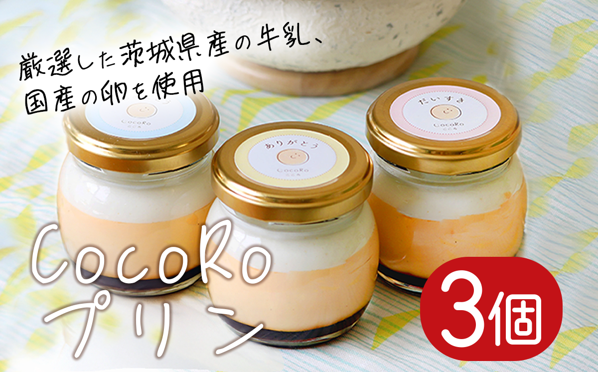 CocoRoプリン 3個セット（ ギフト包装 ＋ メッセージシール「おめでとう」 ）【 茨城県 つくば市 プリン スイーツ 生クリーム カスタードクリーム バニラ 牛乳 卵 国産 甘味 お菓子 デザート ギフト 8000 】