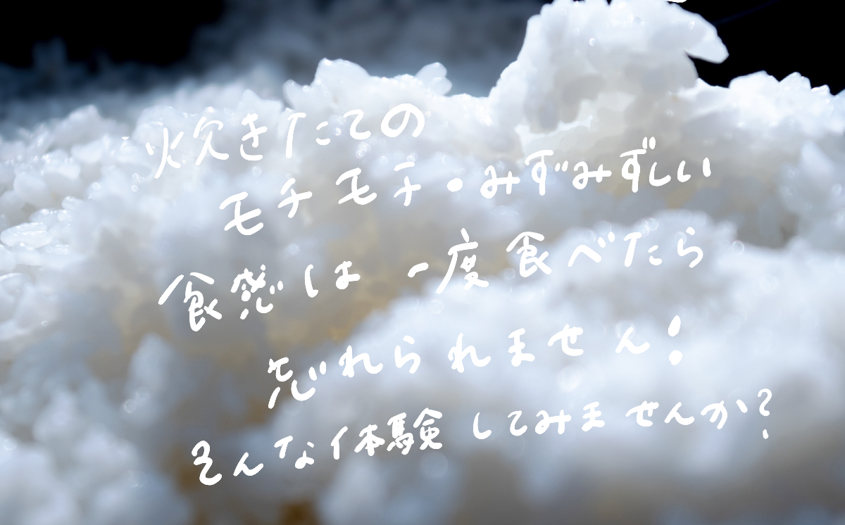 什å7å¹Žç£ äžçç±³ çå
ã®ç±³ ïŒ ãã«ããŒã¯ã€ãŒã³ç²Ÿç±³ ïŒ 10kg | ç±³ ãã ã³ã¡ ãç±³ ã飯 5kg 10kg 20kg 30kg 粟米 çœç±³ ãã«ããŒã¯ã€ãŒã³ æ°ç±³ ãããã èšåç ã€ãã°åž