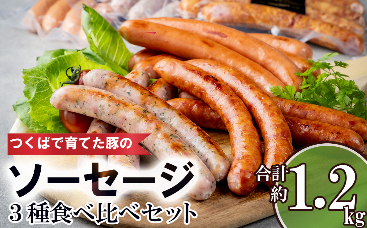 つくばで育てた豚のソーセージ３種食べ比べセット【 豚肉 おつまみ 肉 加工品 ウインナー ハム あらびき 粗びき ハーブ 茨城県 つくば市 冷蔵 セット ポーク 手作り 】