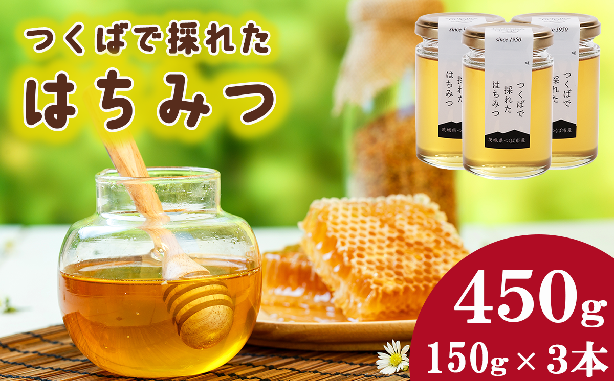 つくばで採れたはちみつ 150g × 3 本【 茨城県 つくば市 はちみつ ハチミツ 蜂蜜 蜜蜂 みつばち ミツバチ 養蜂 】