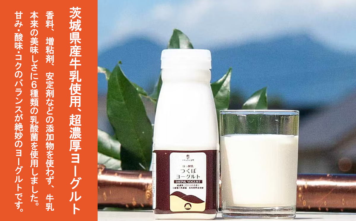 炭火使用・筑波ハムのウィンナーソーセージ(100g×4P)とドリンクヨーグルト(200ml×1本)【 豚肉 豚 ぶた肉 茨城県 つくば市 濃厚ヨーグルト ポーク 】