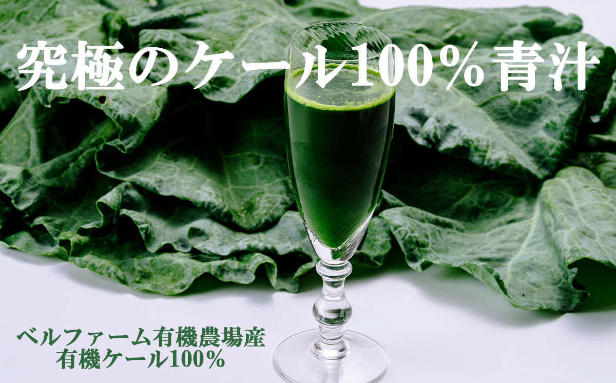 プレミアム有機青汁 100g × 30 パック 【 12ヵ月定期便 】＜離島・沖縄配送不可＞【 茨城県 つくば市 飲料 ドリンク あおじる 青汁 健康  無添加 有機 オーガニック 】