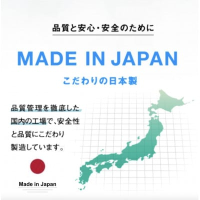 受験教材下敷き 5枚セット【 下敷き 文房具 教材 ツール 高校受験 暗記 記憶 視覚 勉強 学習 受験 テスト 試験 隙間時間 中学生 理科 国語 数学 歴史 英語 5教科 セット フライング・エッグ 人気 おすすめ 】