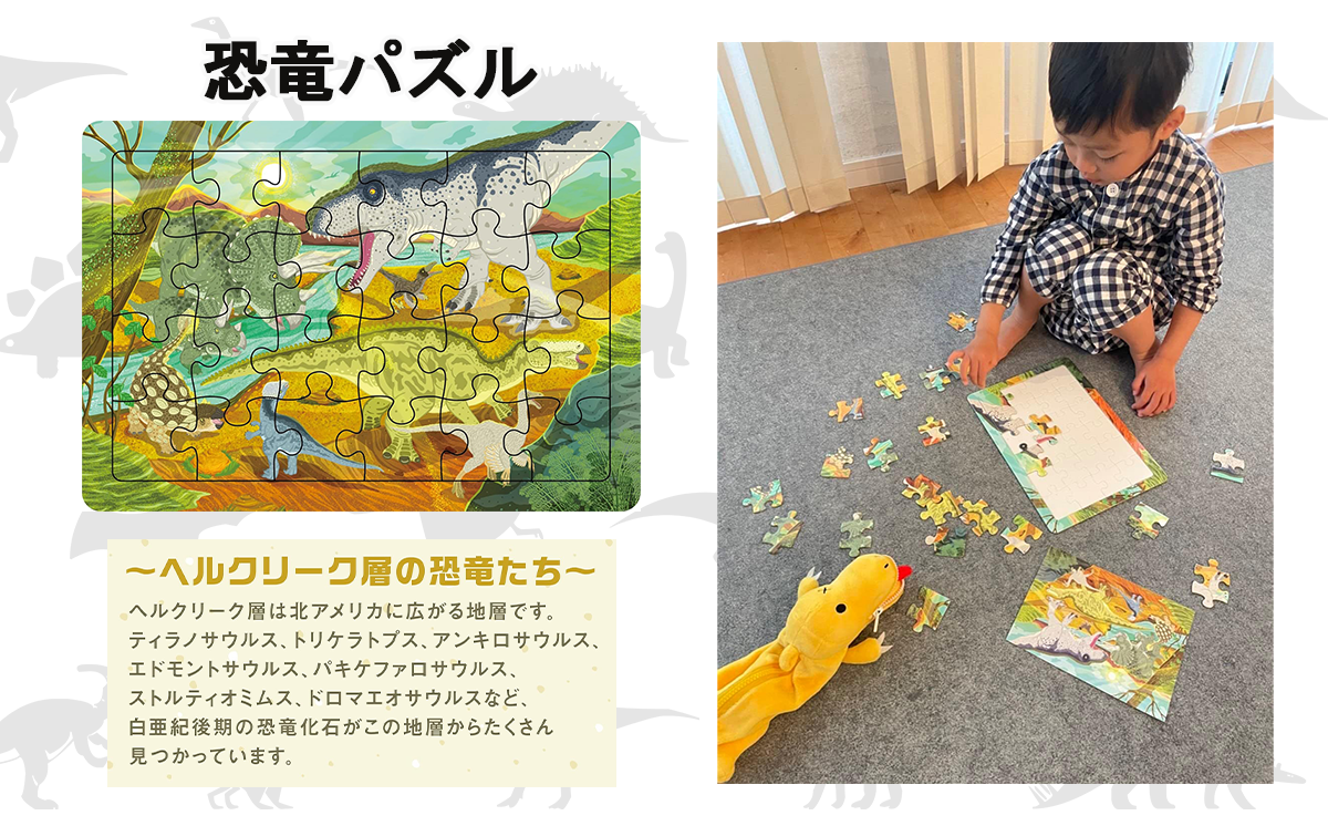 恐竜 キッズ学習＆遊び 8点 フルセット | 恐竜 ポスター クリアファイル 勉強 学習 おもちゃ カード トランプ 遊具 水筒 日用品 茨城県 つくば市