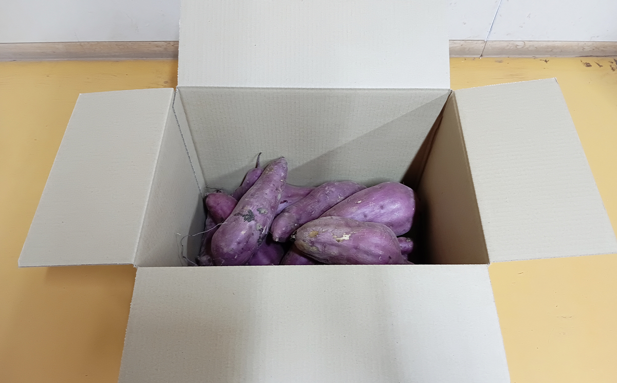  茨城県産 熟成さつまいも ( 紅はるか ) SS〜3Lサイズ訳アリ7kg ( 箱入り )【 紅はるか さつまいも サツマイモ おやつ スイーツ 甘味 デザート 訳アリ 訳あり 10000円 茨城県 つくば市 】