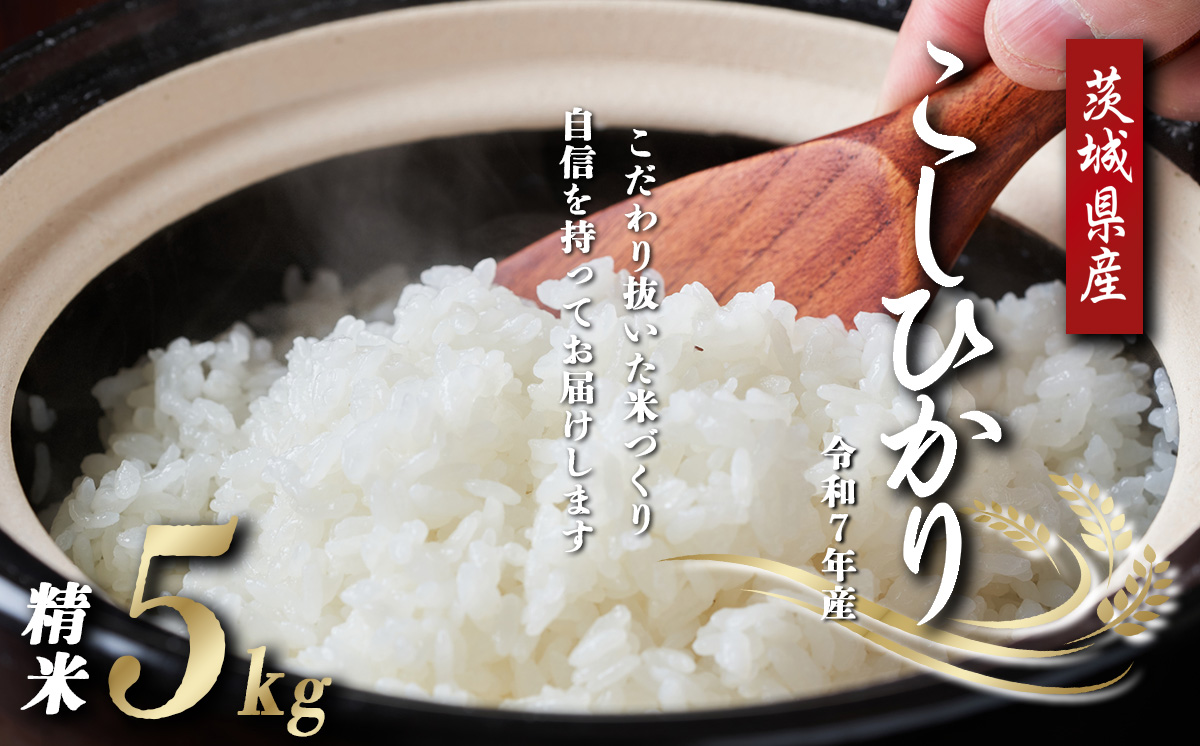 令和7年産 よこたファームのコシヒカリ （ 精米 ） 5kg 【 米 ライス 白米 精米 こしひかり 5kg 茨城県産 減農薬 減農 こだわり こめ コメ お米 2025年産 おこめ R7 ご飯 ごはん 数量 限定 白飯 茨城県 つくば市 】