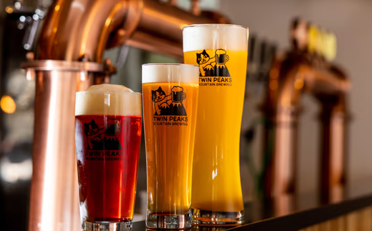 Twin Peaks Mountain Brewingのクラフトビールおまかせ 6本セット【 つくば市 ふるさと納税 クラフトビール ビール お酒 酒 麦酒 地ビール ドイツ ドイツビール 飲み比べ 】