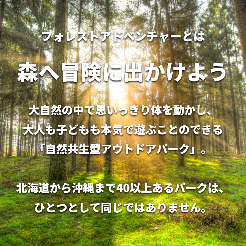 フォレストアドベンチャー ・ つくば ＜アドベンチャーコース＞ 4名様 体験チケット【 つくば市 茨城県 筑波山 レジャー アウトドア 自然体験 ジップ 体験型 】