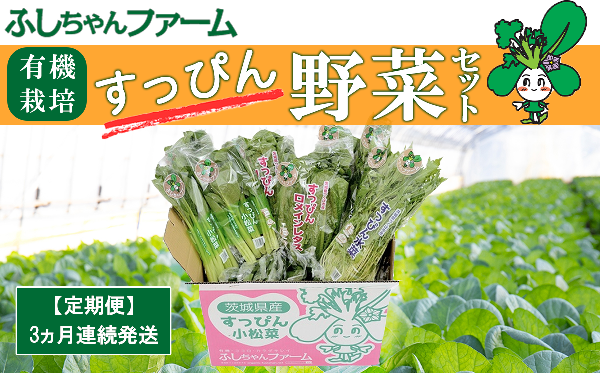 【 3ヵ月定期便 】すっぴん有機やさいセット ( 小松菜 ・ 水菜 ・ ロメインレタス )【 茨城県 つくば市 定期 定期便 小松菜 ロメインレタス 水菜 鍋 鍋もの 野菜 やさい ベジタブル 有機野菜 有機栽培 無農薬 有機農業 オーガニック 自然 希少 3回 詰め合わせ 】