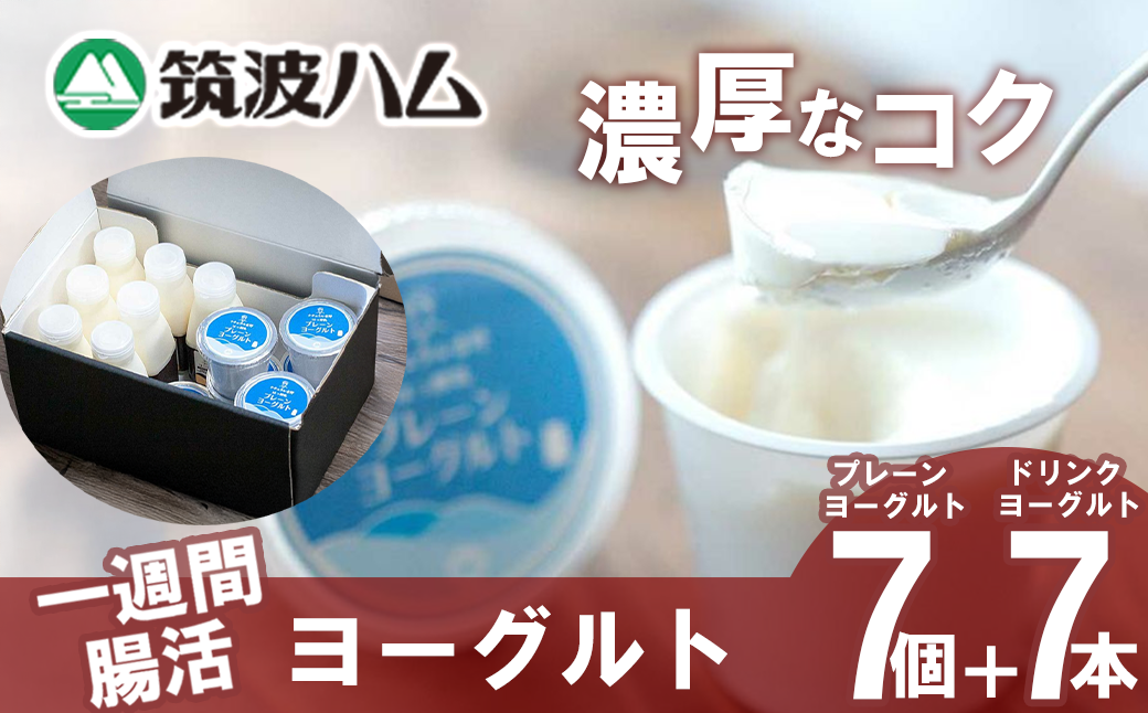 【 筑波ハム 】 一週間腸活ヨーグルト ギフトセット【 筑波ハム ヨーグルト ドリンクヨーグルト 乳 腸活 美容 健康 ギフト 贈答 茨城県産 国産 つくば市 】