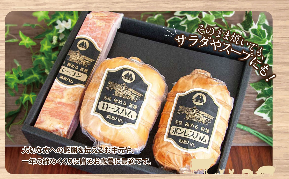 ããŒã¹ãã 500g ãã³ã¬ã¹ãã 400g ããŒã³ã³230g ã€ãã°ã³ã¬ã¯ã·ã§ã³ ãããã»ãã çæ³¢ãã ã è±è è± ã¶ãè ããŒã¯ ãã ã¯ã ããŒã¹ãã ããŒã³ã³ ãã³ã¬ã¹ãã èšåçç£ åœç£ ã€ãã°åž è©°ãåãã ãäžå
ãæ³æ® ã