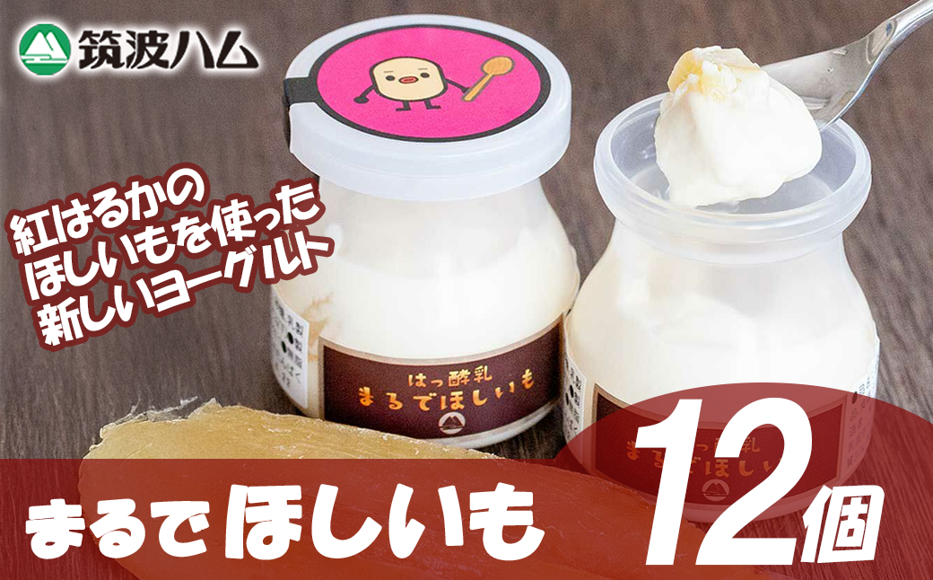 【 筑波ハム 】まるでほしいも × 3個セット4箱【 茨城県 つくば市 ヨーグルト 干し芋 ほしいも ほし芋 紅はるか さつまいも いも 健康 】
