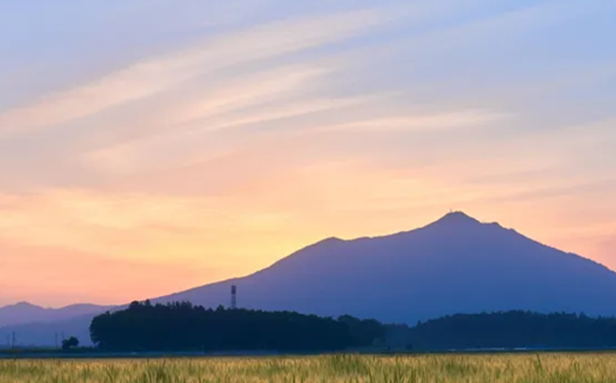 ãã¢ã€ã·ã§ãŠãäžæ¥ã²ãšçµã®å®¿ ãå€é£ãå³éžé£æã䜿ã£ããéãä»ããã©ã³å®¿æ³åž 1æ³4åæ§ã èšåç ã€ãã°åž å®¿æ³ å®¿ äžæ£è²žã çã èªç¶ 倿°å®¶ 倿°å®¶å®¿ æ
è¡ å®¶æ å®¶ææ
è¡ çæ³¢å±± ãŽã«ã GW å€äŒã¿ äœéšå ã