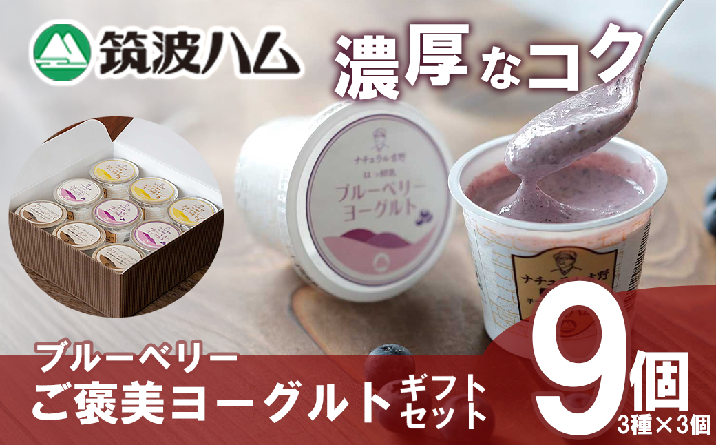 【 筑波ハム 】 ブルーベリー ご褒美ヨーグルト ギフトセット【 筑波ハム ヨーグルト クリームチーズ チーズ ブルーベリー ご褒美 乳 腸活 美容 健康 ギフト 贈答 茨城県産 国産 つくば市 】