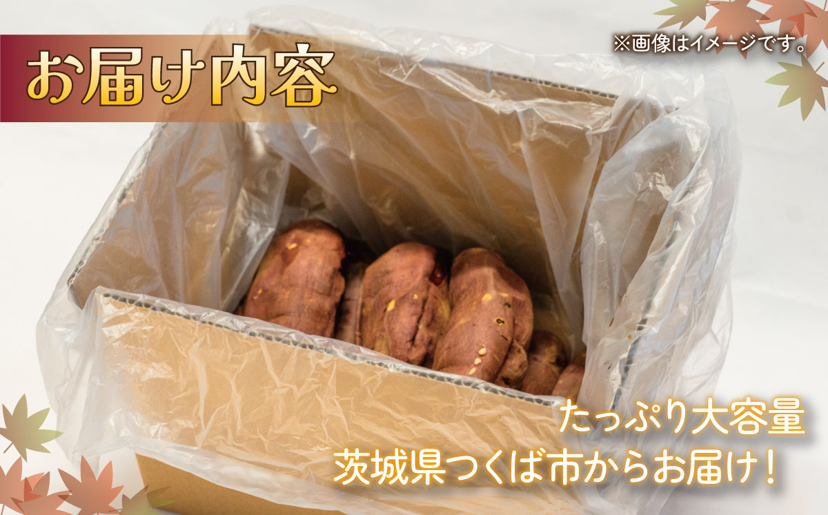 【先行予約】冷凍 超熟焼きいも 約900g