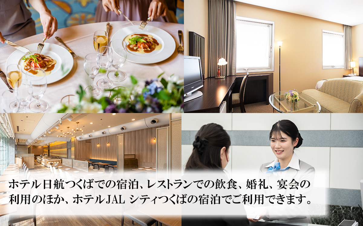 ホテル日航つくば ・ ホテルJALシティつくば ご利用券 300,000円分 【 チケット ステイ 宿泊 ホテル 駅前 旅行 つくば駅 宿泊補助券 宿泊利用券 宿泊チケット 宿泊券 体験型 】
