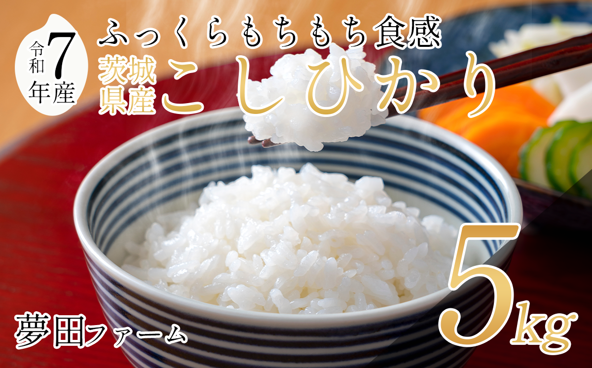 令和7年産 コシヒカリ 5kg