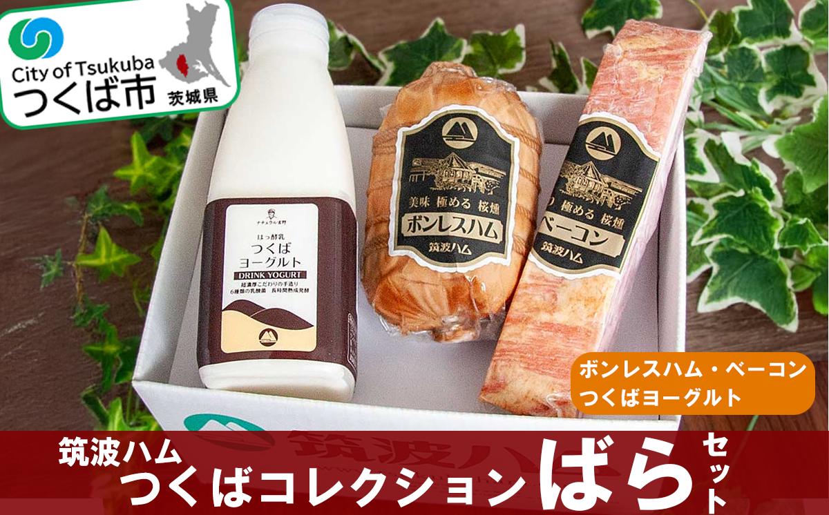 筑波ハム つくばコレクション ばらセット（ ボンレスハム ベーコン つくばヨーグルト ）【 豚肉 豚 ぶた肉 ポーク ハム はむ ベーコン ボンレスハム ヨーグルト 茨城県産 国産 つくば市 詰め合わせ お中元 お歳暮 】