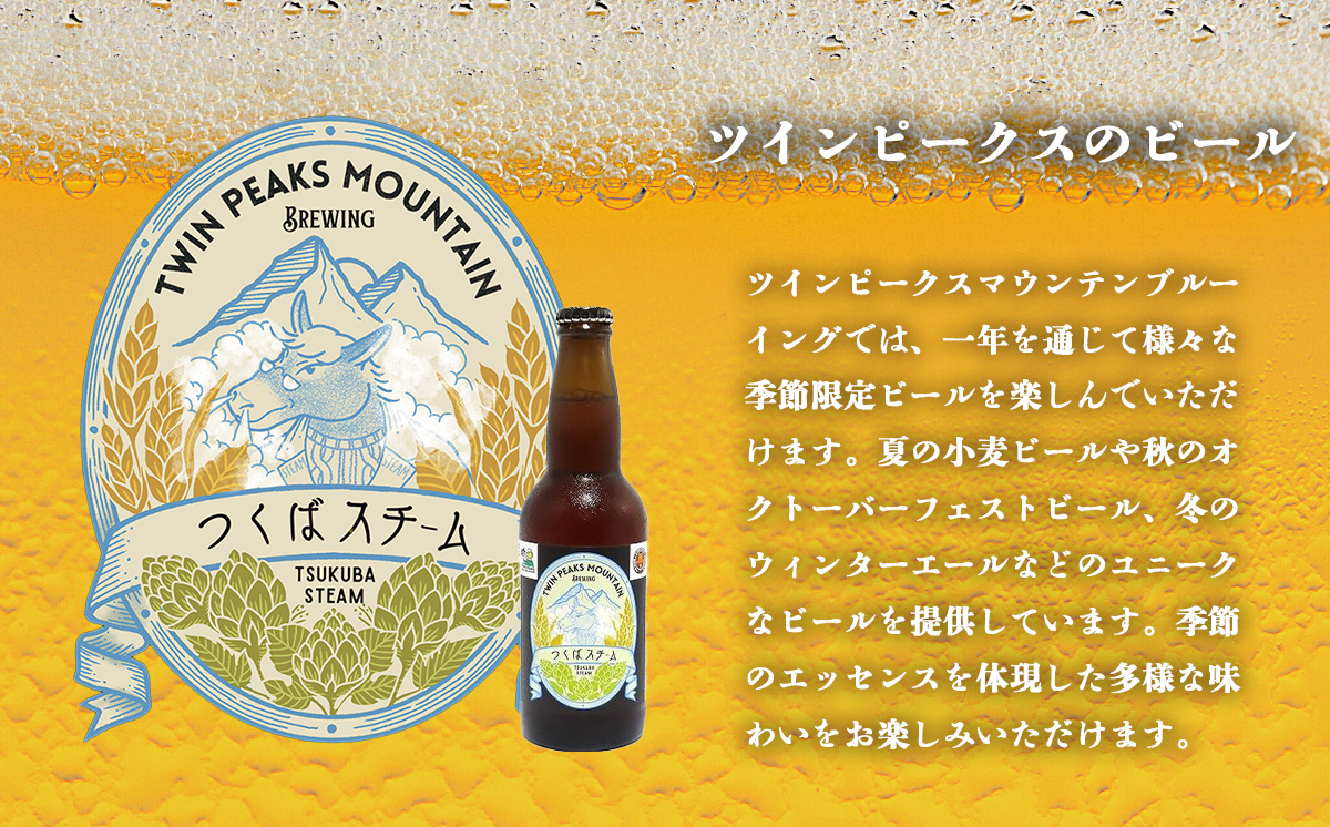 Twin Peaks Mountain Brewingのクラフトビールおまかせ 6本セット【 つくば市 ふるさと納税 クラフトビール ビール お酒 酒 麦酒 地ビール ドイツ ドイツビール 飲み比べ 】
