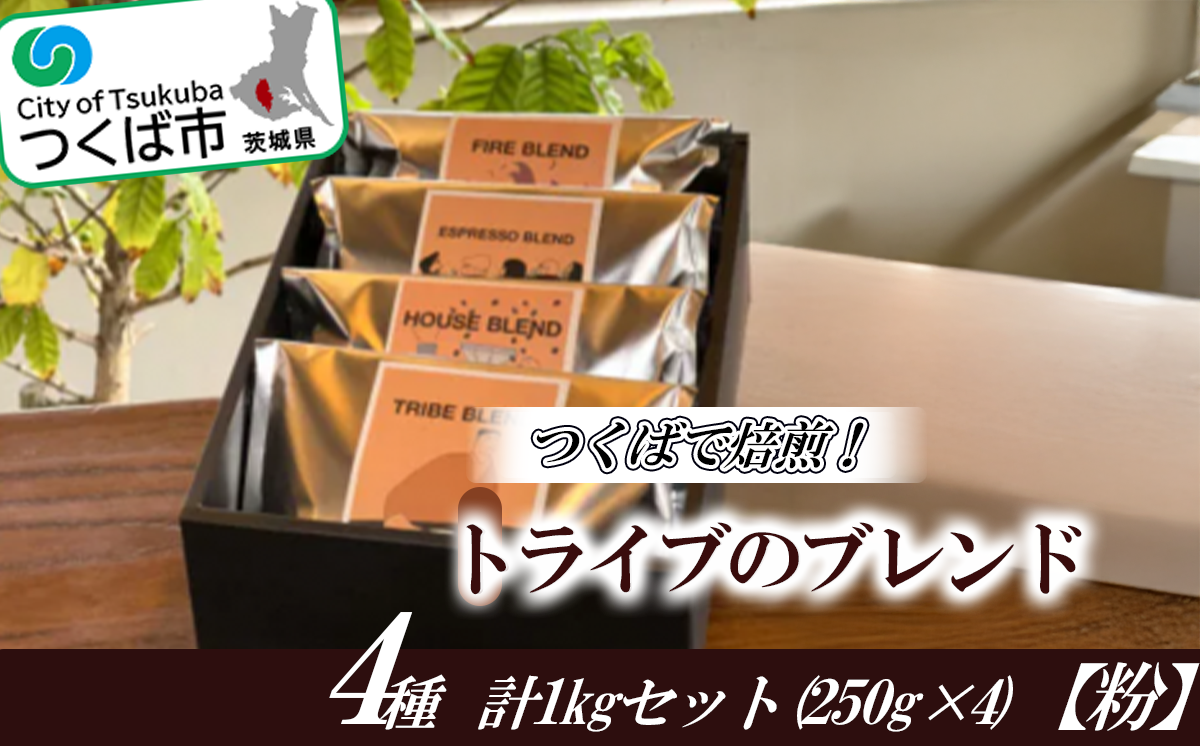 つくばで焙煎！トライブのブレンド4種 計1kgセット(250g×4)[粉]