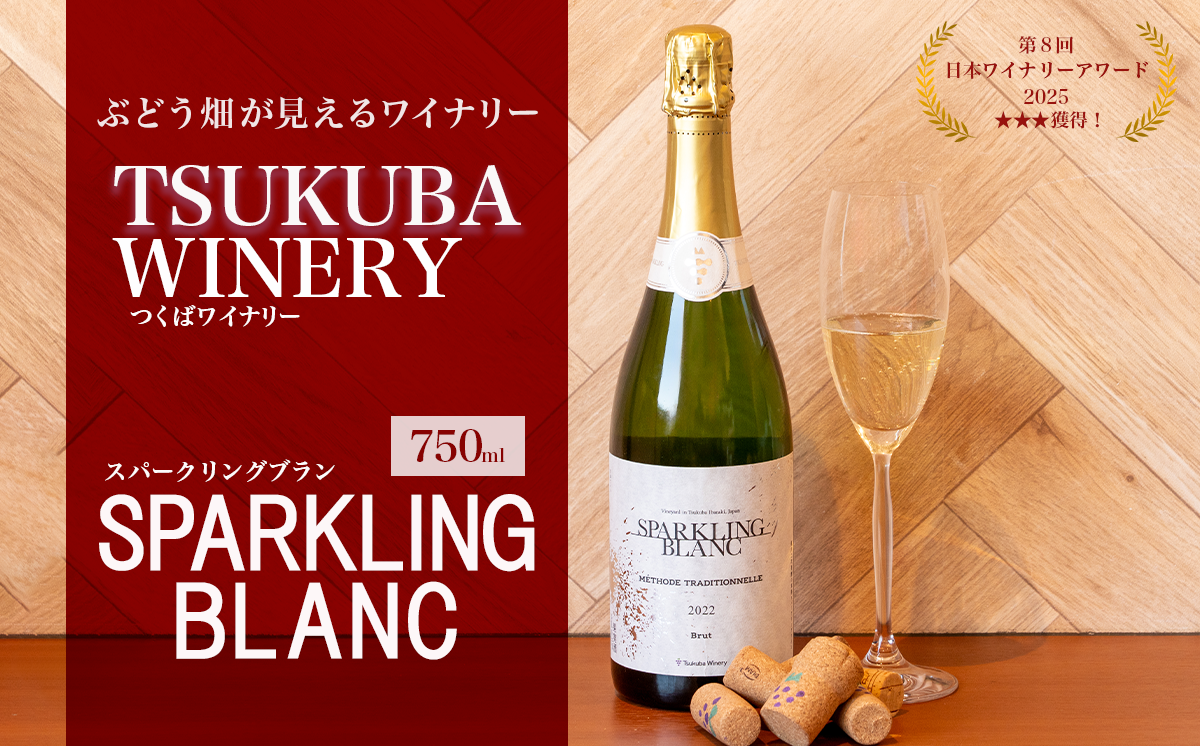つくばワイナリー SPARKLING BLANC (スパークリングブラン) 【 お酒 葡萄 ぶどう ブドウ 茨城県産 つくば市産 ワイナリー 】