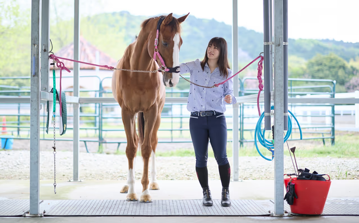 乗馬クラブクレイン茨城　【45分しっかり】乗馬体験チケット【 乗馬 乗馬クラブ 体験チケット 乗馬体験 子ども 子供 キッズ 家族 ファミリー クレイン 夏休み 休日 GW 茨城県 つくば市 】
