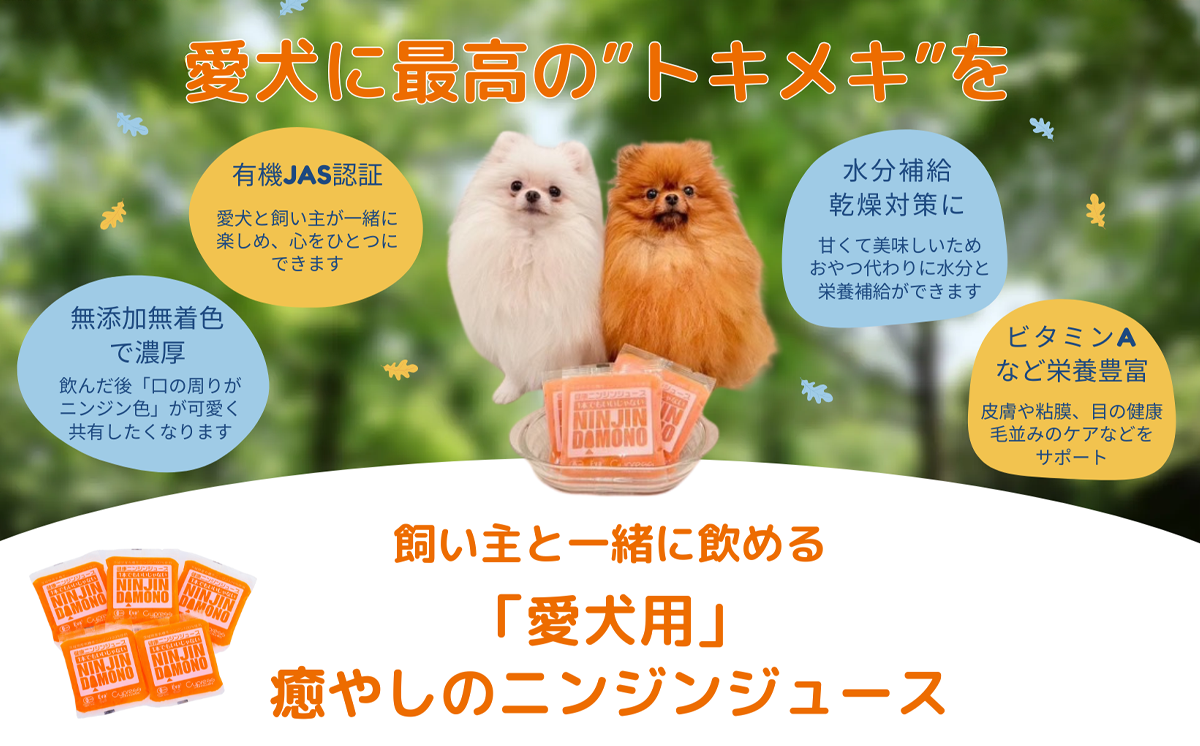 飼い主と一緒に飲める「愛犬用」癒やしのニンジンジュース 100g×30個【 犬 ニンジンジュース にんじん 人参 人参ジュース にんじんジュース 水分補給 犬 にんじん 人参 人参ジュース にんじんジュース キャロットジュース 愛犬 ペット ペットフード ドッグフード つくば市 ふるさと納税 】