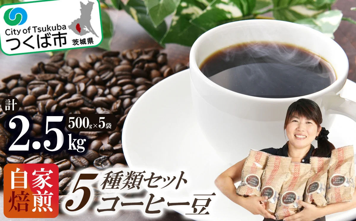 ＜自家焙煎珈琲豆＞コーヒー豆5種類セット 500g×5袋 計2500g【 coffee 飲み比べ  珈琲 コーヒーセット ブレンド お取り寄せ ギフト 茨城県 つくば市 】