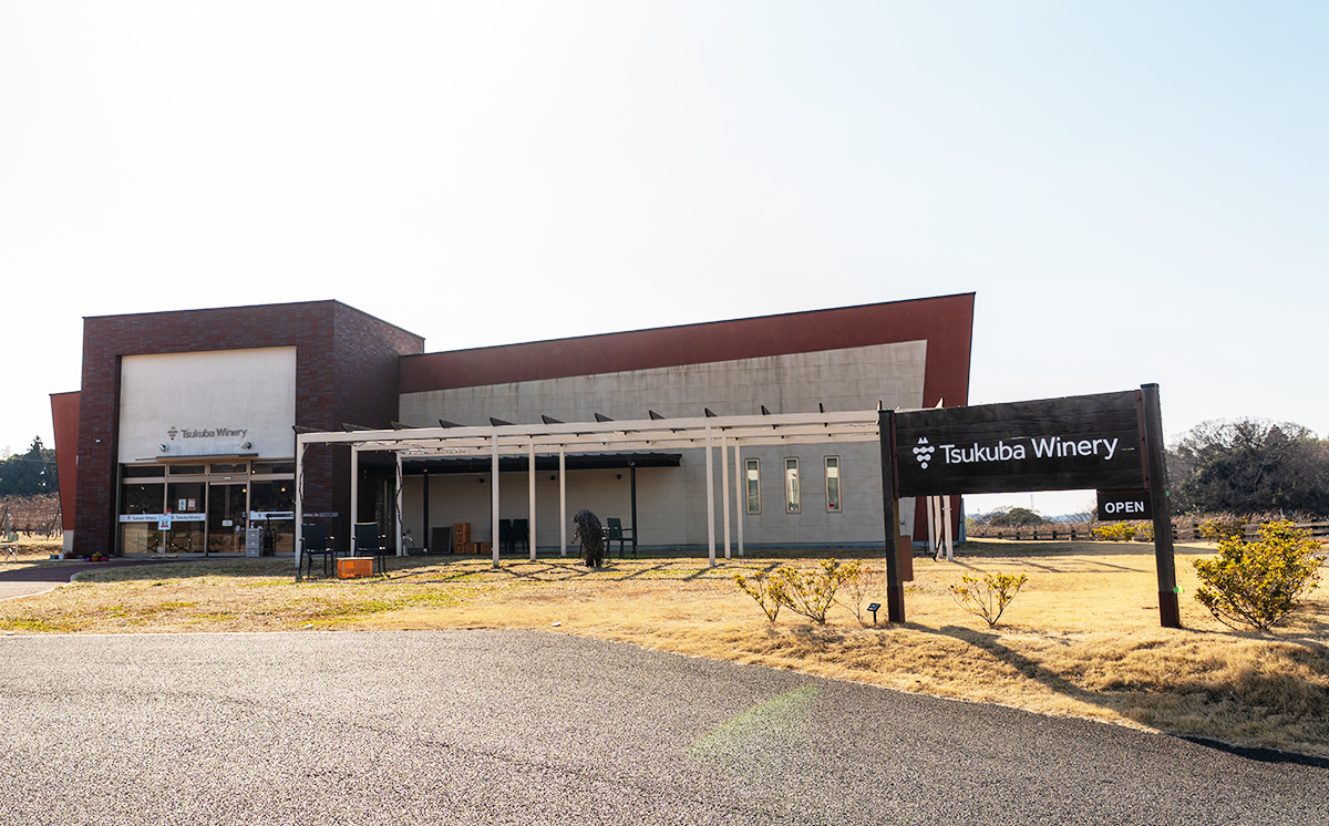 つくばワイナリー TSUKUBA BLANC ・ ROUGE & ROSE セット 【 お酒 葡萄 ぶどう ブドウ 茨城県産 つくば市産 ワイナリー 】