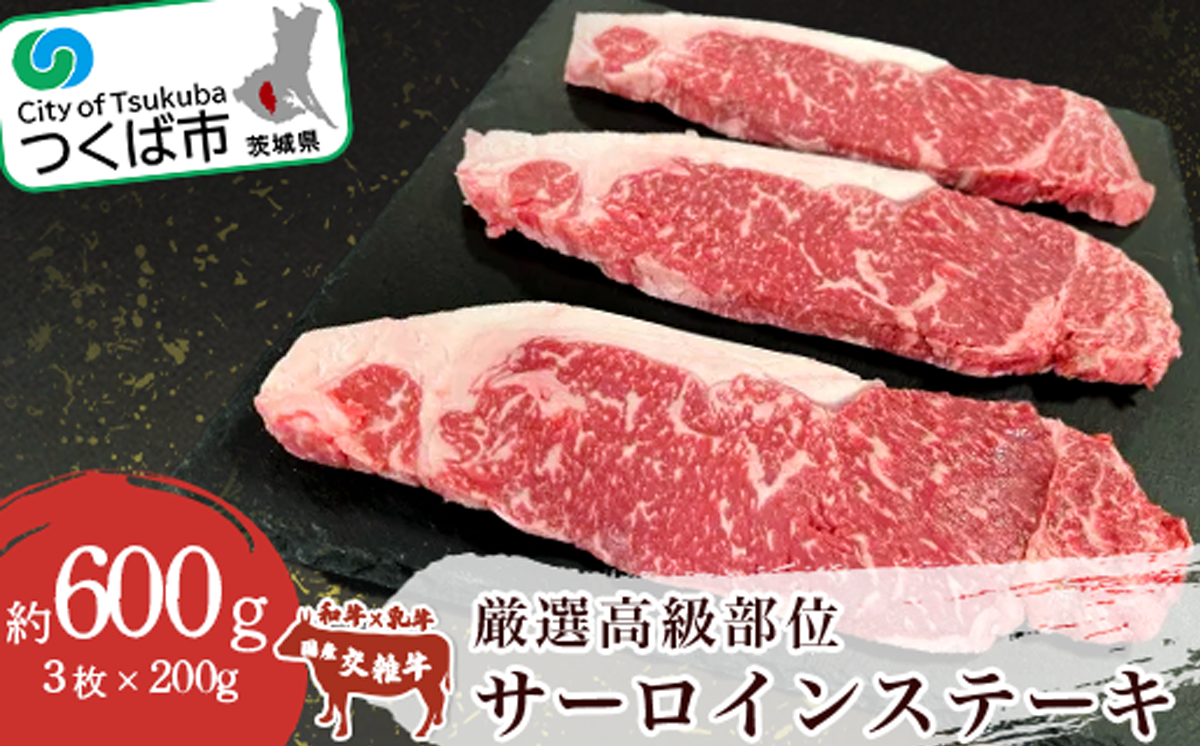 プロの目利きが選んだ厳選高級部位 サーロインステーキ 3枚入り ( 約600g )【 サーロインステーキ 牛肉 牛 国産 贅沢 ステーキ 高級 国産牛 サーロイン 鉄板焼き 茨城県 つくば市 】
