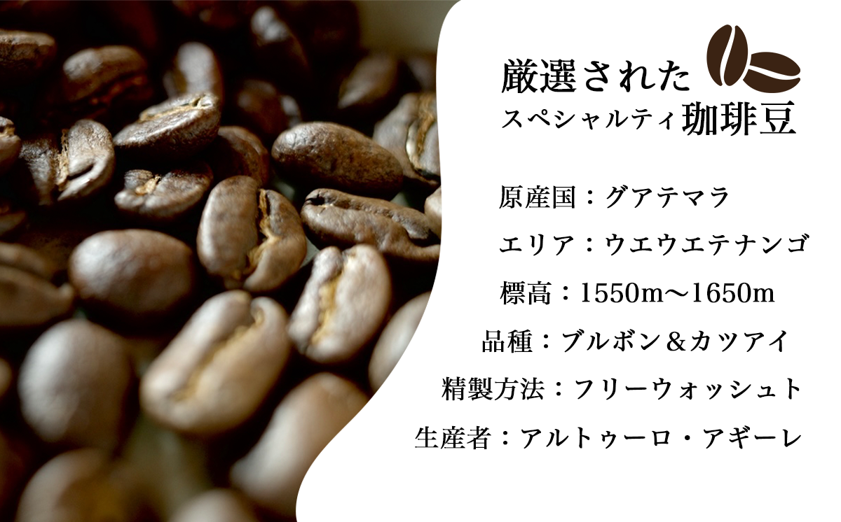 ã¹ãã·ã£ã«ãã£çç²è±ã®ã°ã¢ããã©ïŒãã©ãã£ã·ã§ãã« å100gé£²ã¿æ¯ã¹ã»ããïŒèš200gïŒã ã³ãŒã㌠çç² ã³ãŒããŒè± çç²è± èªå®¶çç
èšåç ã€ãã°åž ã