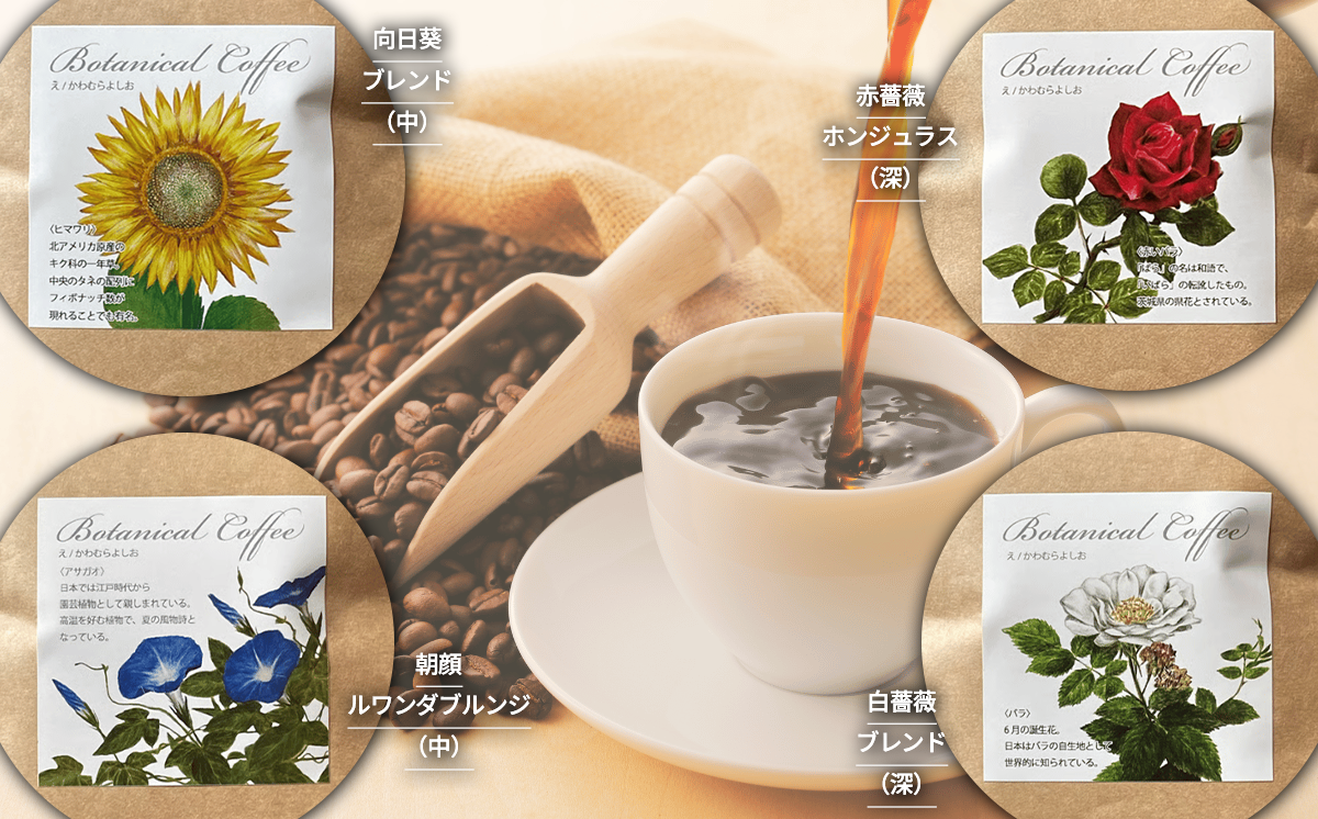 ãã£ããçç²ã®ã³ãŒããŒè±ãå£ç¯ã®èè±çç²ã(è±ã®ãŸãŸ)ã100gÃ4çš® èš400gãã ã³ãŒã㌠çç² ç² ã³ãŒããŒè± èªå®¶çç
ã¹ãã·ã£ã«ãã£ã³ãŒã㌠ã®ãã èšåç ã€ãã°åž ã