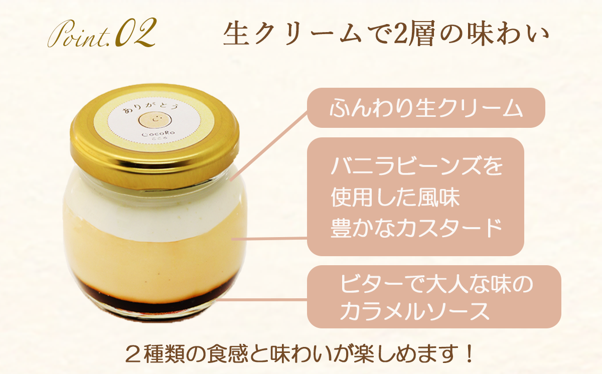 CocoRoプリン 6個セット（ ギフト包装 ＋ メッセージシール「ありがとう」 ）【 茨城県 つくば市 プリン スイーツ 生クリーム カスタードクリーム バニラ 牛乳 卵 国産 甘味 お菓子 デザート ギフト 】