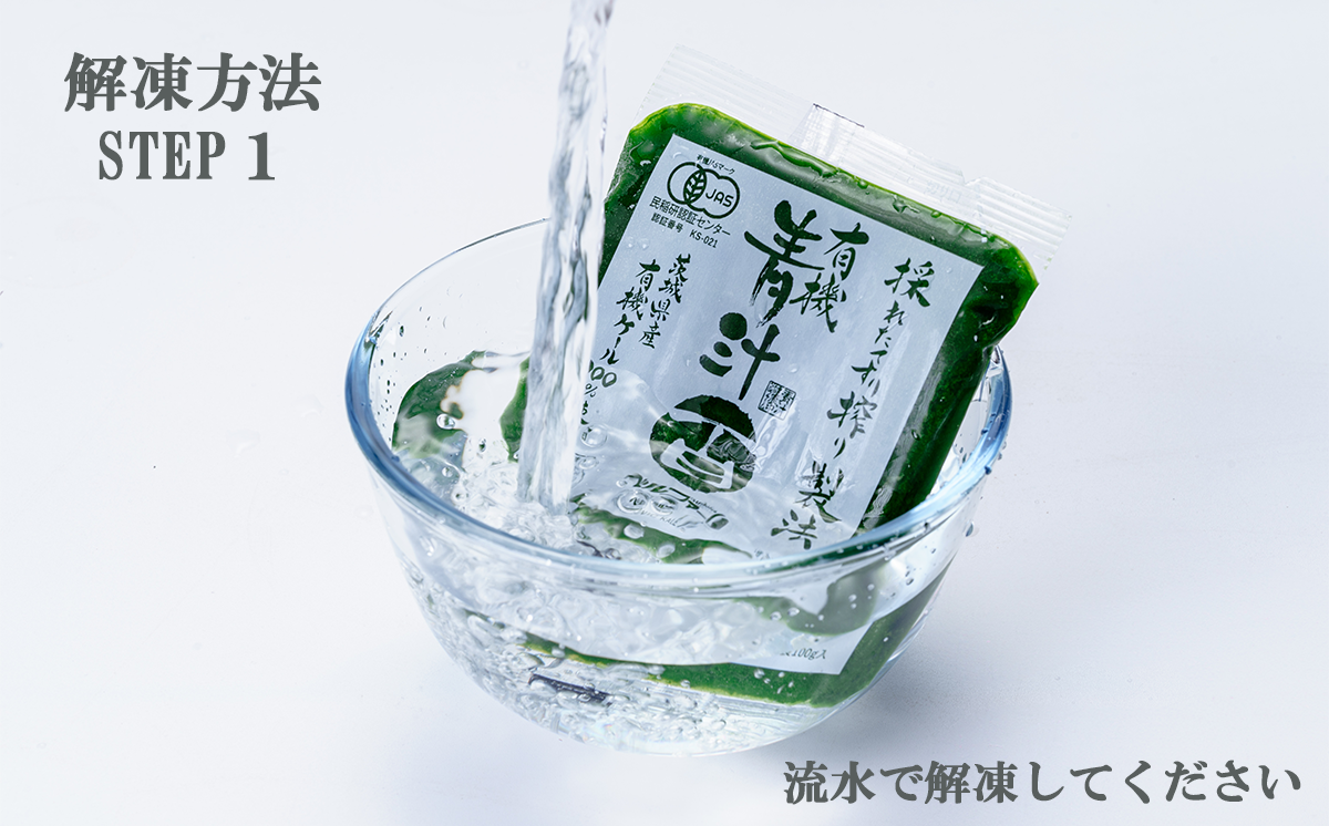 ＜ ベルファームつくば ＞ 搾りたて メロンジュース 100% 100g × 15パック ＜離島・沖縄配送不可＞【 メロンジュース メロン ジュース 100％ 搾りたて めろん フルーツジュース フルーツ 果物 茨城県 つくば市 】