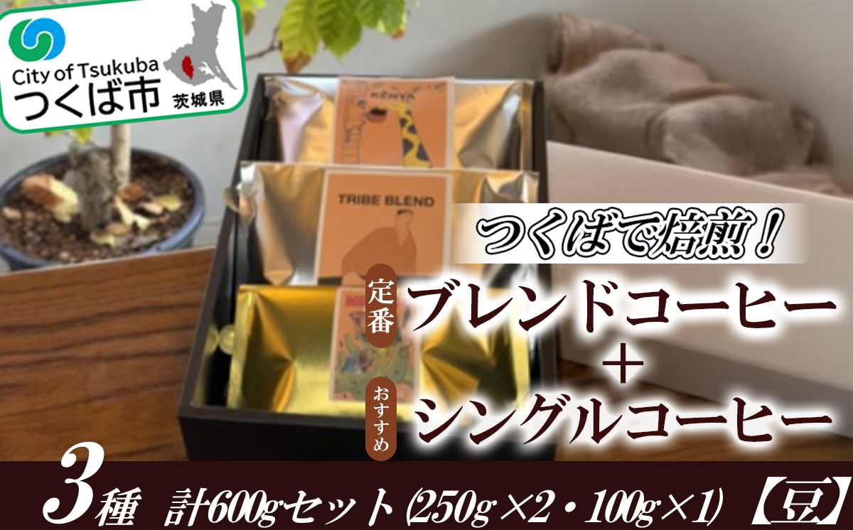 つくばで焙煎！トライブの定番とおすすめのシングル3種 計600gセット(250g×2・100g×1)[豆]