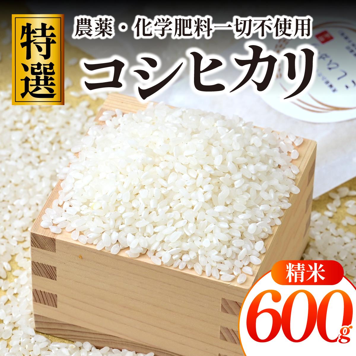 【特別栽培米】コシヒカリ　茨城県産　白米　600g　ギフトにおすすめ【1670035】