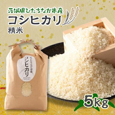 令和7年産　ひたちなか市のお米コシヒカリ　5kg×1袋【1423031】