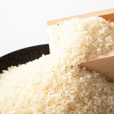 令和7年産　ひたちなか市のお米コシヒカリ　5kg×1袋【1423031】