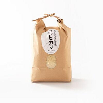 令和7年産　ひたちなか市のお米コシヒカリ　5kg×1袋【1423031】