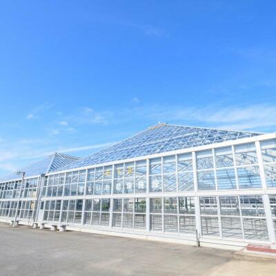 百年干しいも焼酎　720ml×1本【1323737】