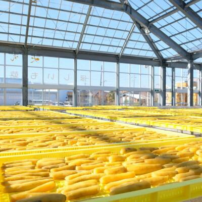 百年干しいも焼酎　720ml×1本【1323737】