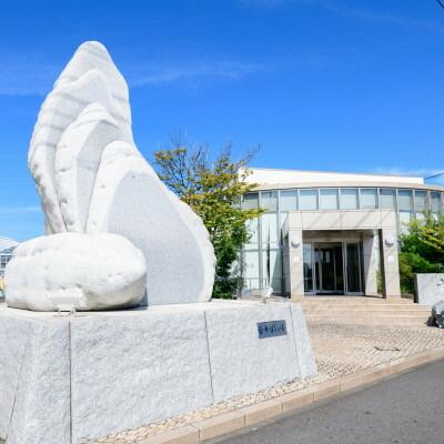 百年干しいも焼酎　720ml×1本【1323737】