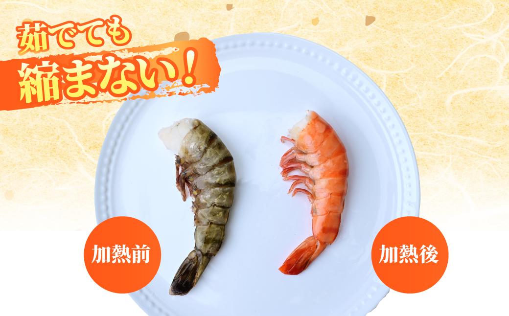 魚兵水産こだわりのブラックタイガー海老　 10尾10パック(計2400g程度)【配送不可地域：離島】【1215915】